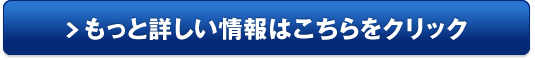 NV100クリッパー販売サイトへ